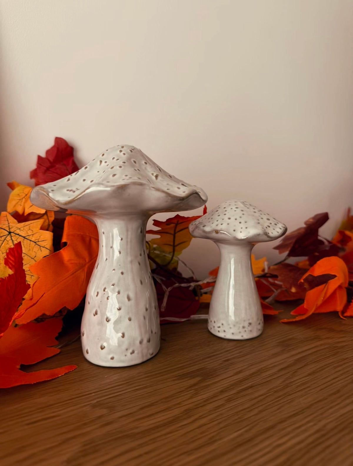 Champignons 🍄